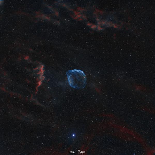 Sh2-308 Dolphin-Head Nebula ( Telescope Live )