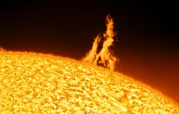 Sunflair ( Telescope Live )