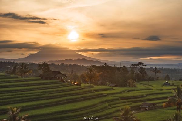 Jatiluwih Rice Terraces, Bali
