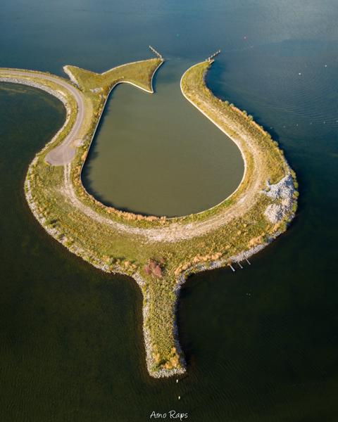 Tulip island, Netherlands