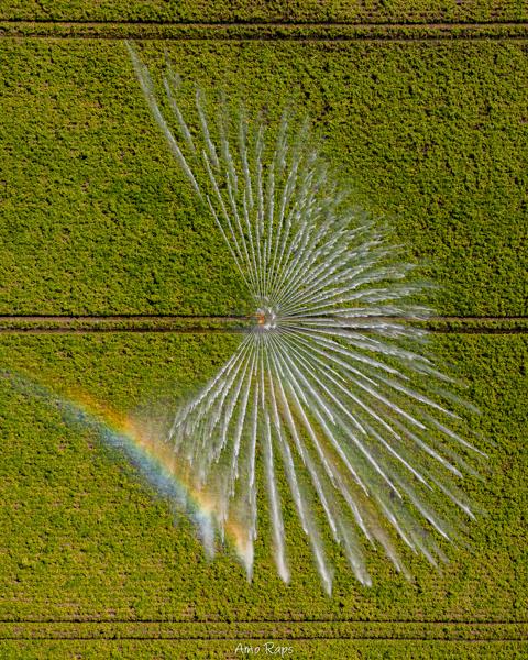 Farming, Belgium