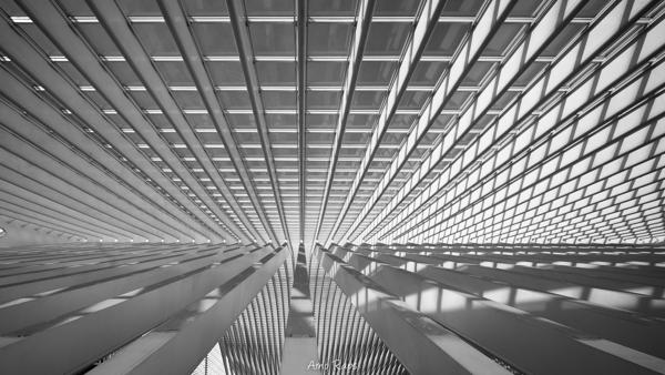 Liege Guillemins Gare