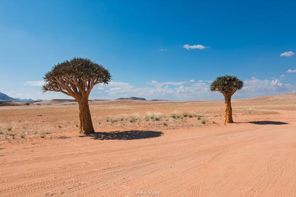 Bushman's desert, Namibia