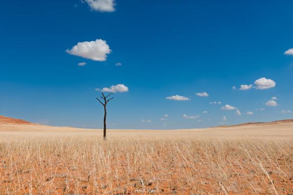 Bushman's desert, Namibia