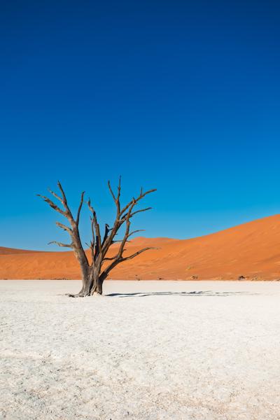 Deadvlei, Namibia