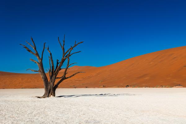 Deadvlei, Namibia