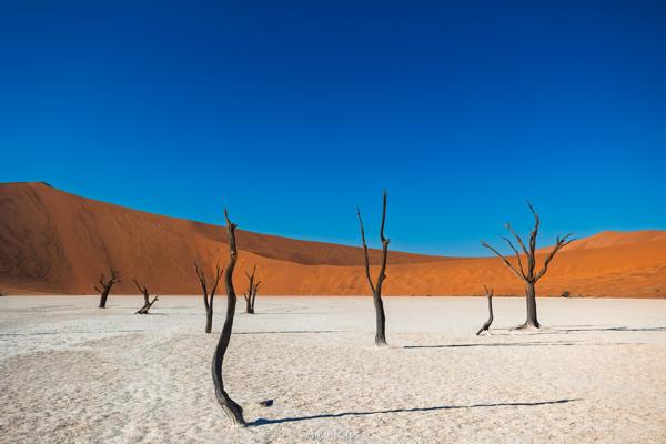 Deadvlei, Namibia