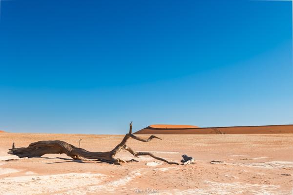 Deadvlei, Namibia