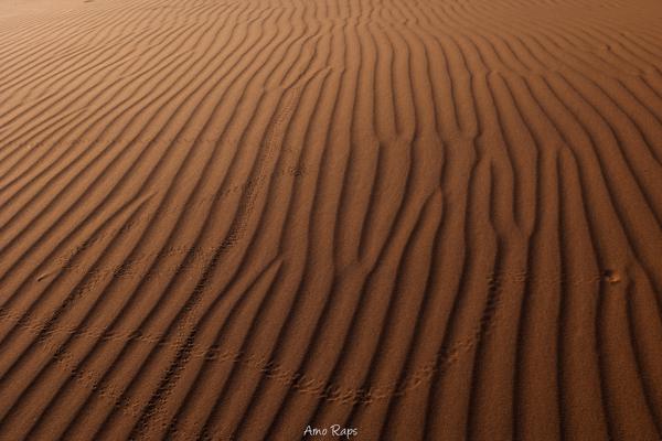 Deadvlei, Namibia