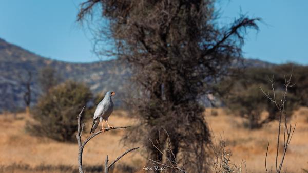 Mount Etjo, Namibia