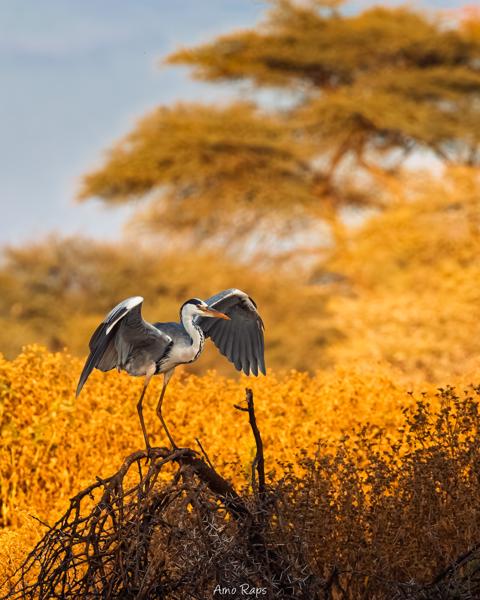 Mount Etjo, Namibia