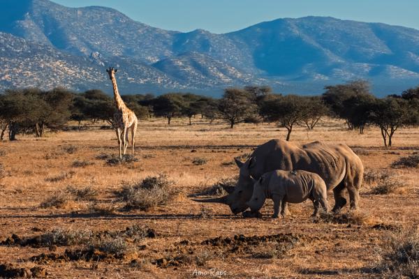 Mount Etjo, Namibia