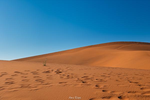 Deadvlei, Namibia